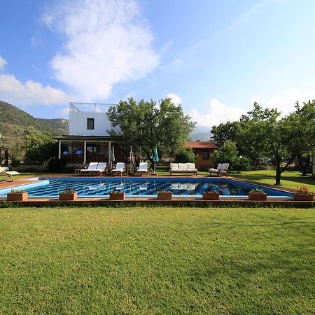Bal Badem Bungalow Datça Exteriör bild