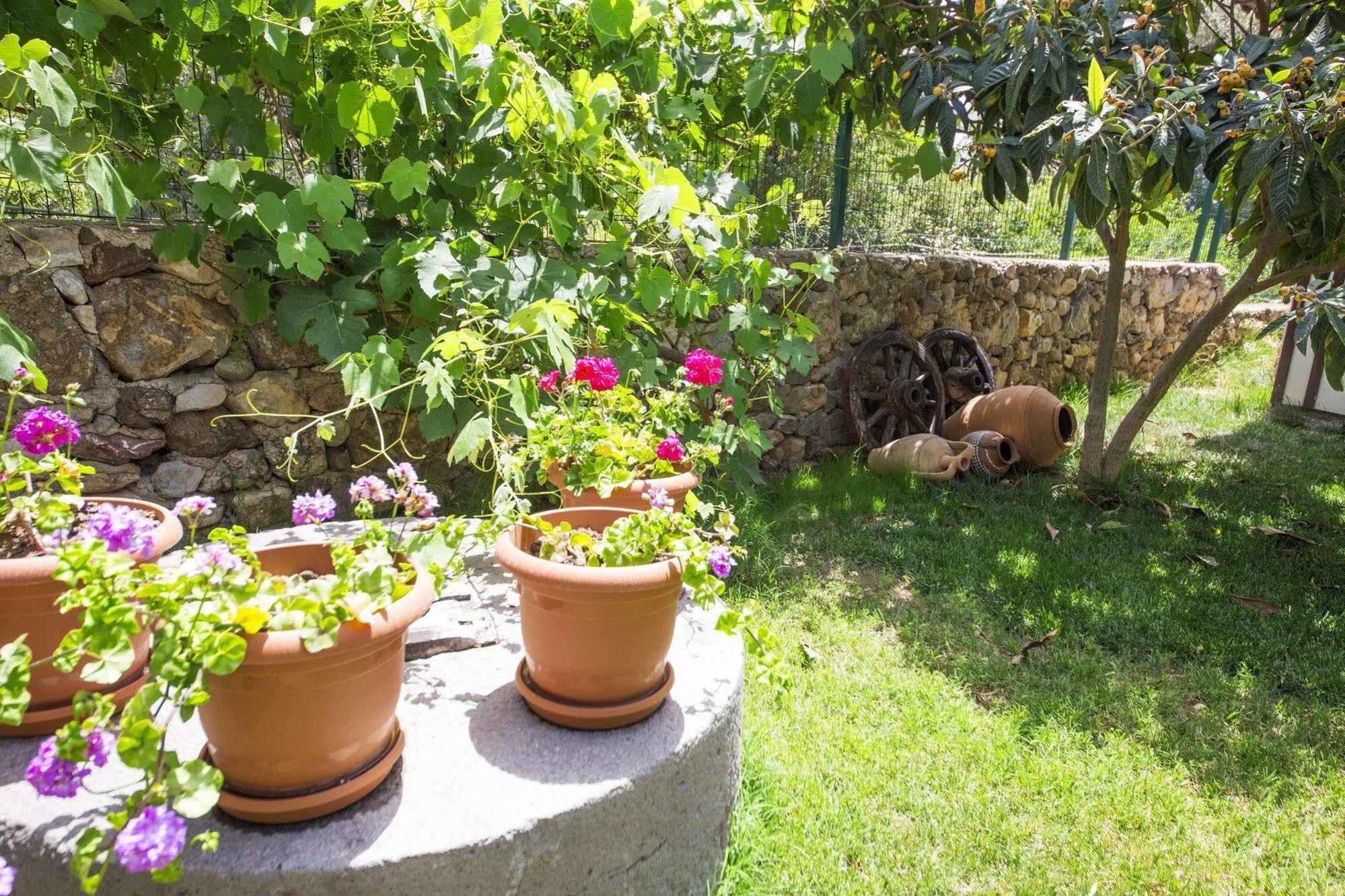 Bal Badem Bungalow Datça Exteriör bild